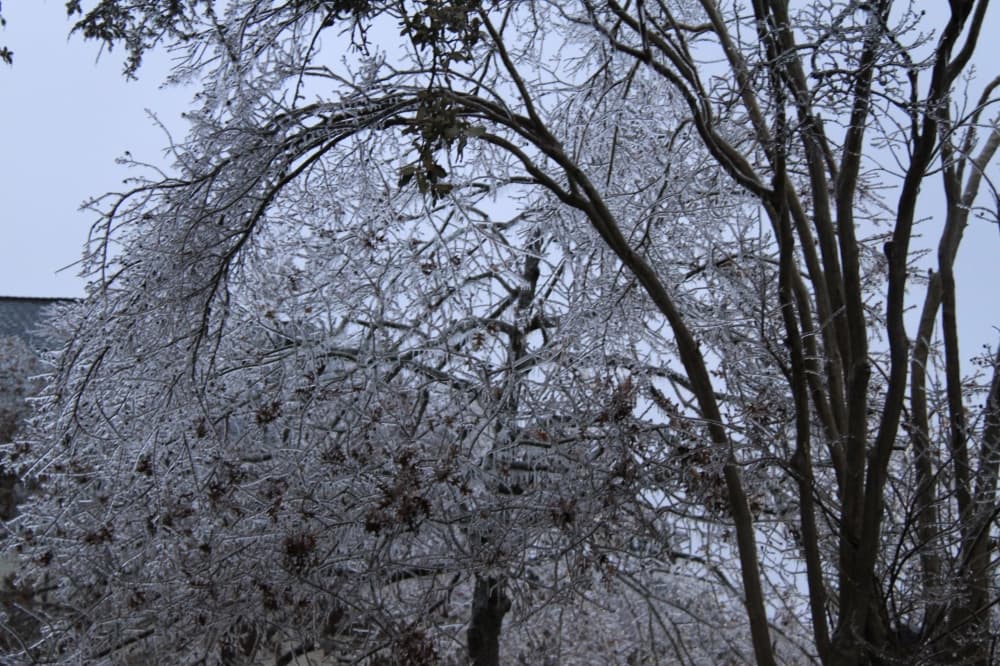 Argyle Town Hall closed through Feb. 2 as winter weather continues in Denton County