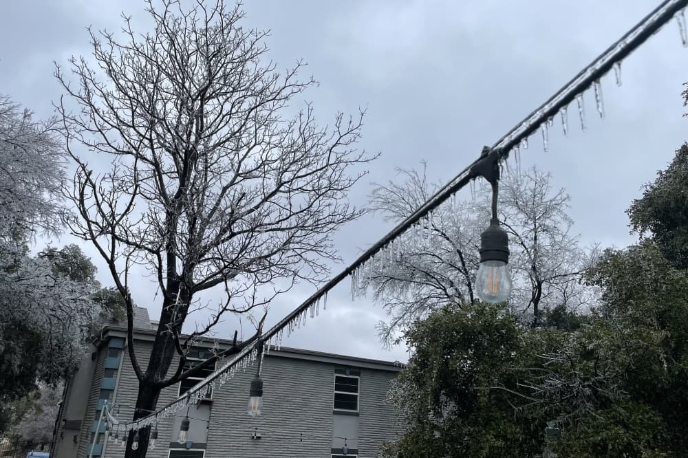 ERCOT can’t be sued over 2021 winter storm, court rules