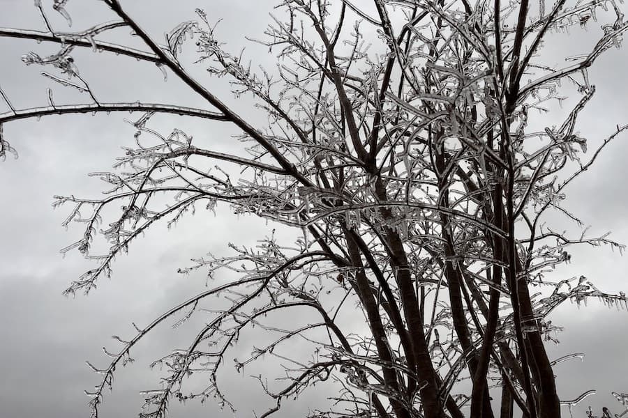 Hays CISD, San Marcos CISD campuses and offices to remain closed through Feb. 2