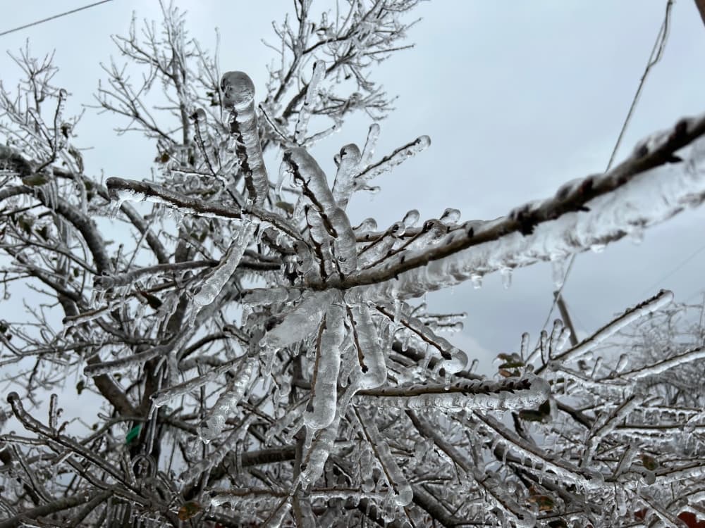 Georgetown ISD remains closed on Feb. 2 due to inclement weather