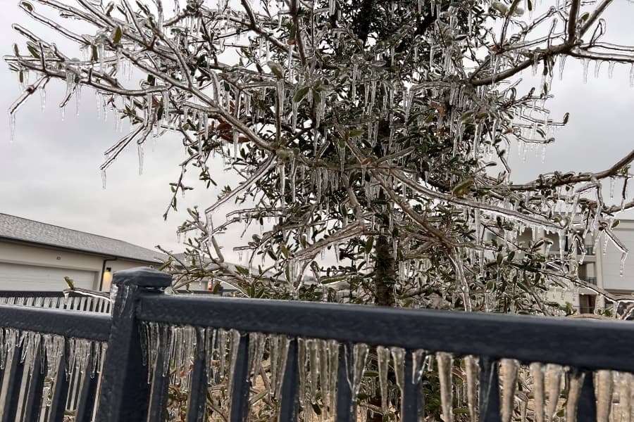 San Marcos, New Braunfels Utilities partner to provide mutual aid for emergency services following Winter Storm Mara