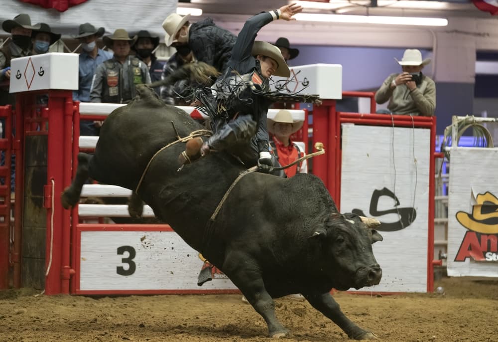 San Antonio Stock Show and Rodeo to be held Feb. 9-26