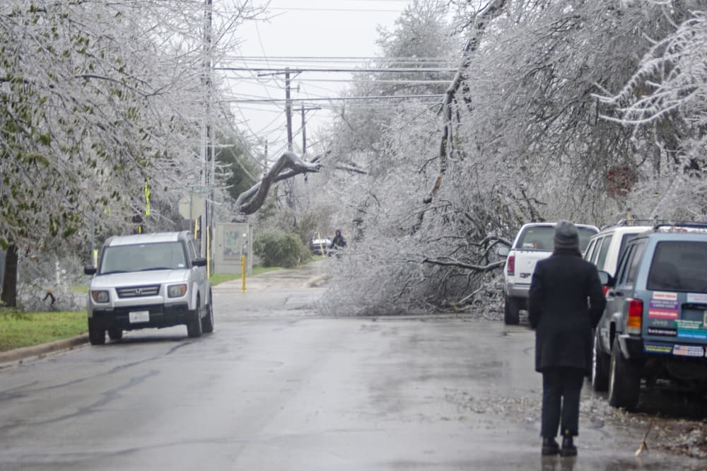 Round Rock to provide free tree limb, brush disposal following winter storm