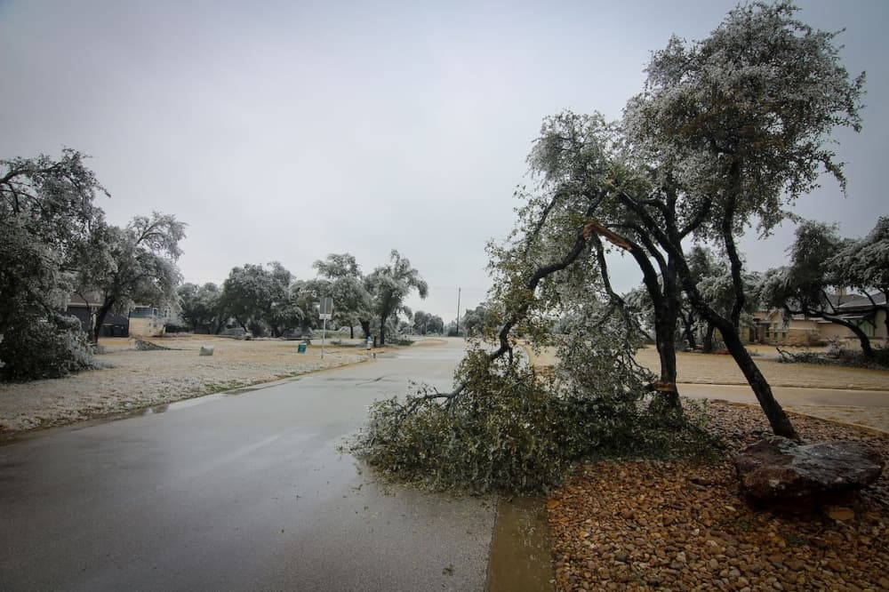 Cedar Park, Leander to offer tree limb, brush disposal following winter ice storm