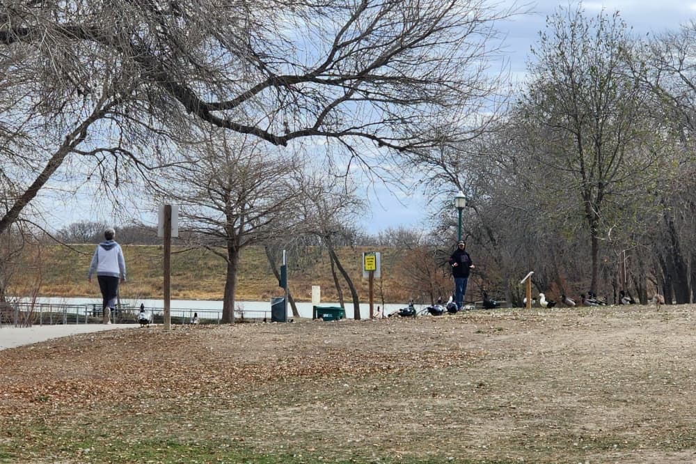 Live Oak to remove unhealthy, dead trees from city parks