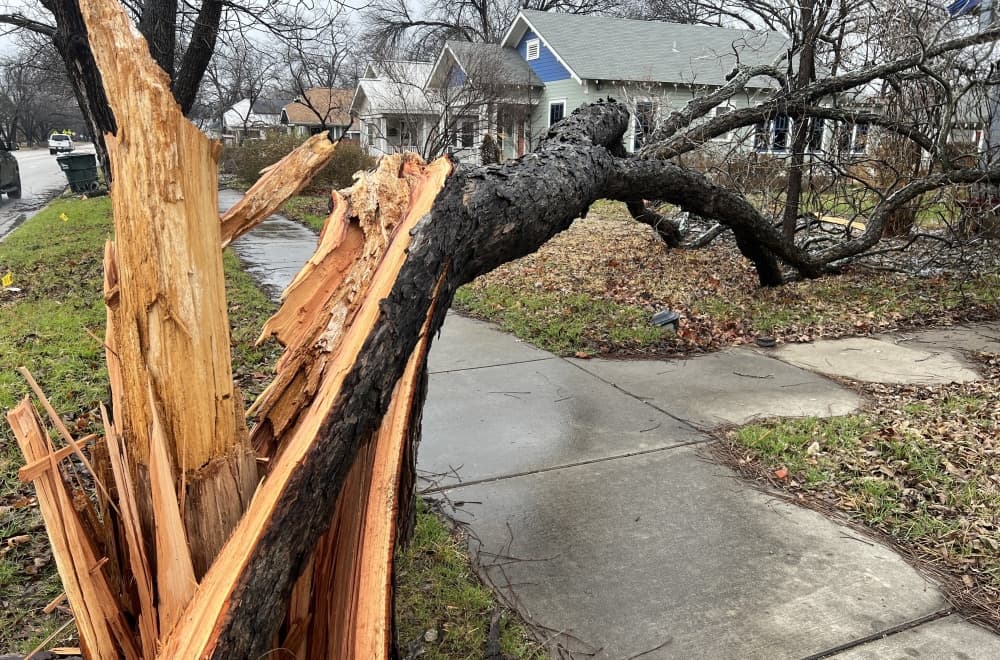 Insurance provider offers advice for surveying ice damage, filing claims