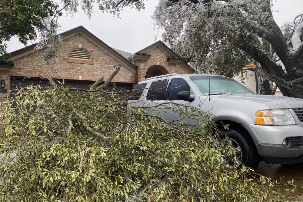 Hutto to hold community brush cleanup event