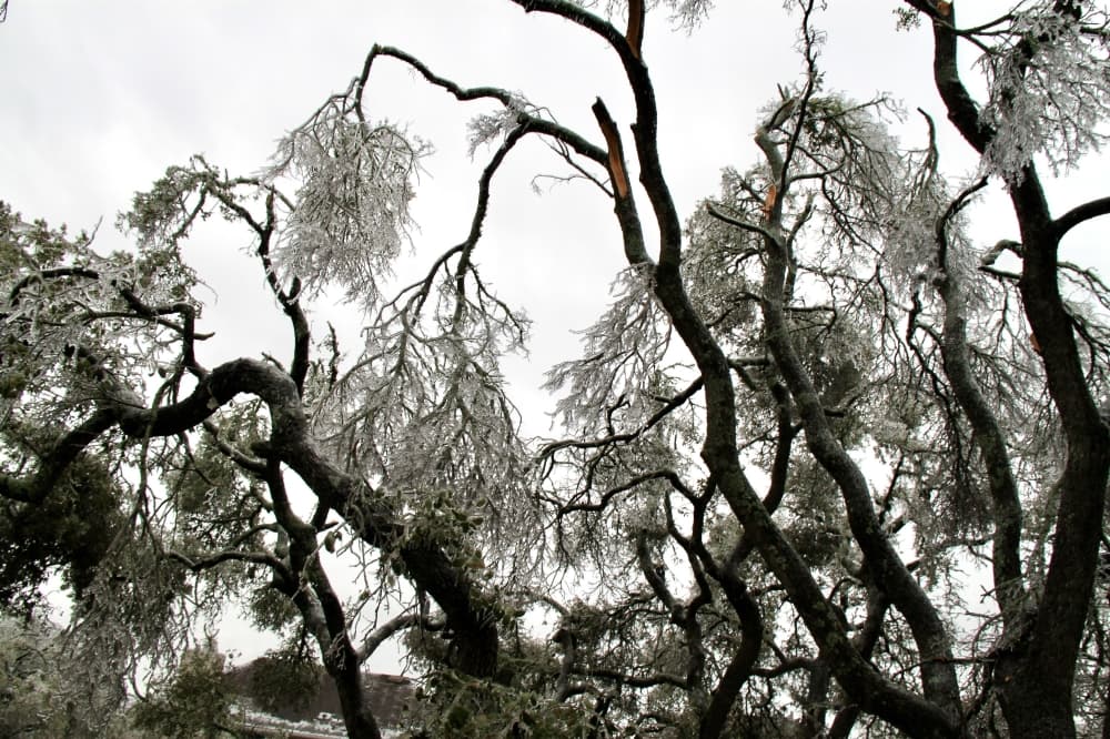 Bee Cave, Lakeway declare state of emergency in cities 