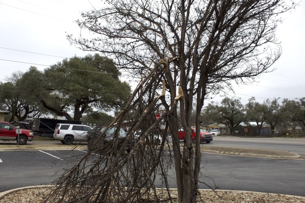 Dripping Springs issues disaster declaration in response to winter storm aftermath