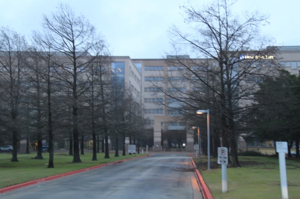 A road lined with trees and a building