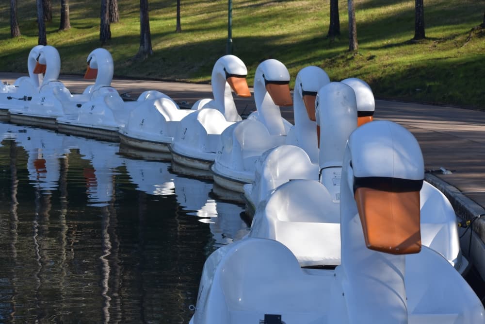 See a free concert; paddle in a swan boat: Valentine's Day and other events in The Woodlands area Feb. 11-14