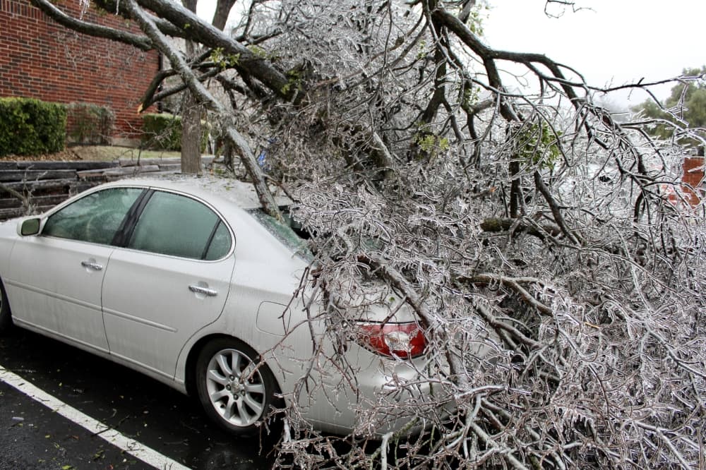 Insurance expert discusses filing claims, other tips after Winter Storm Mara