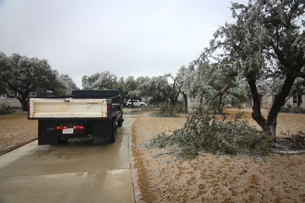 Cedar Park to offer tree limb, brush disposal services Feb. 11, Feb. 18