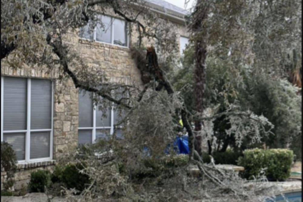 How to dispose of brush, burning limbs in Lake Travis, Westlake