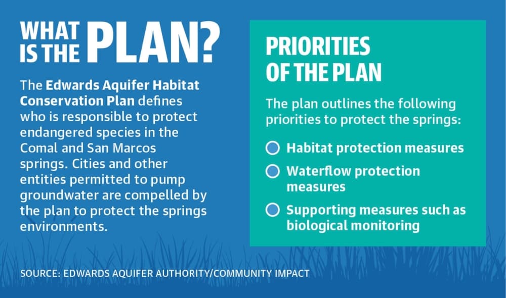 Aquifer conservation making strides on Comal, San Marcos waterways