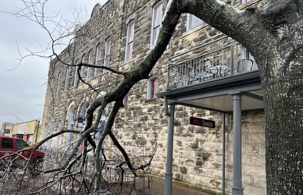 Williamson County still working to remove debris, fallen tree limbs from winter storm