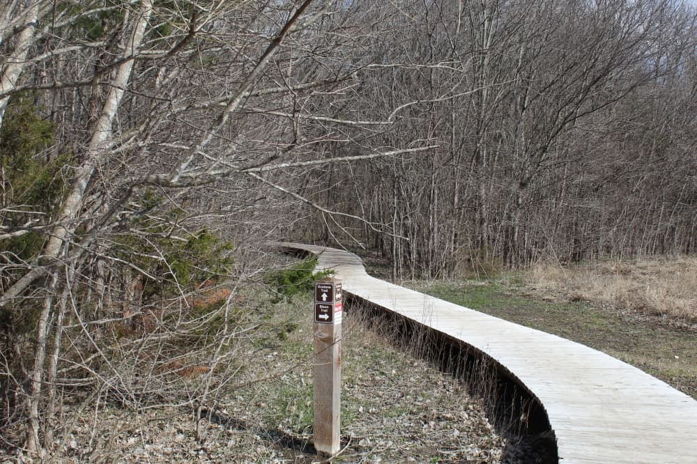 Plano trail at Bob Woodruff Park North to get major upgrade