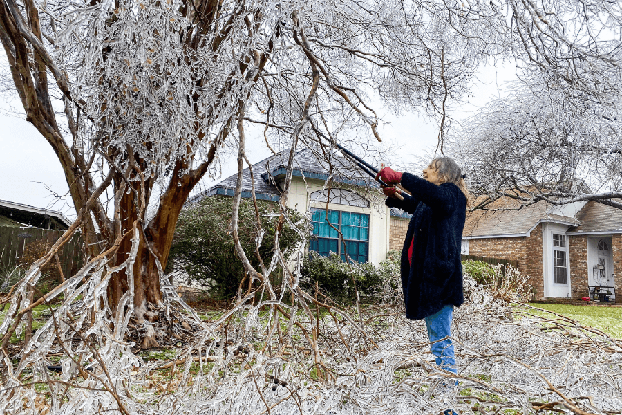 Cleanup efforts continue in Pflugerville, Hutto after Winter Storm Mara