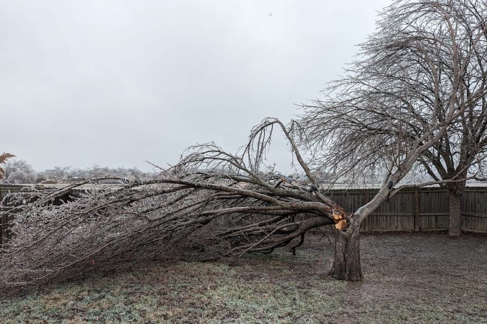 Leander, Cedar Park extend declaration of local disaster following winter ice storm aftermath