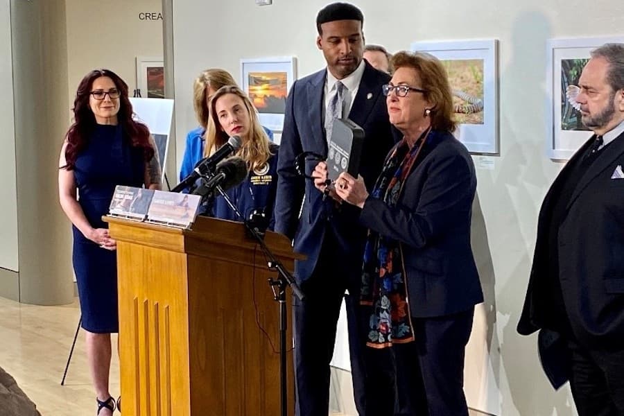 Harris County district attorney, law enforcement launch gun safety campaign