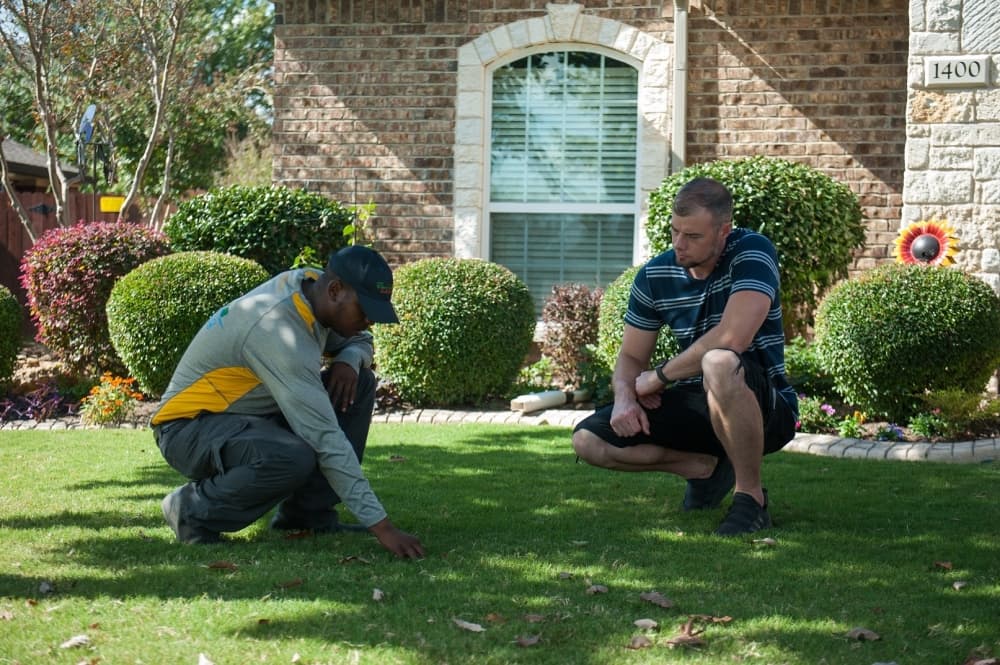 5 tips from Emerald Lawns to beautify your lawn this spring