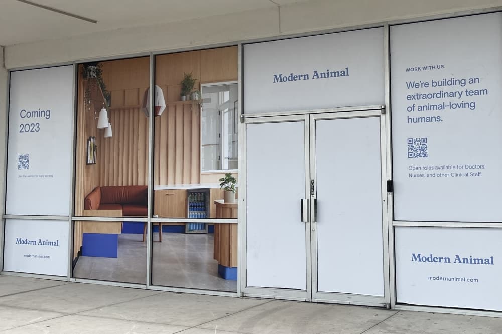 California-based Modern Animal bringing veterinary care to Lakewood