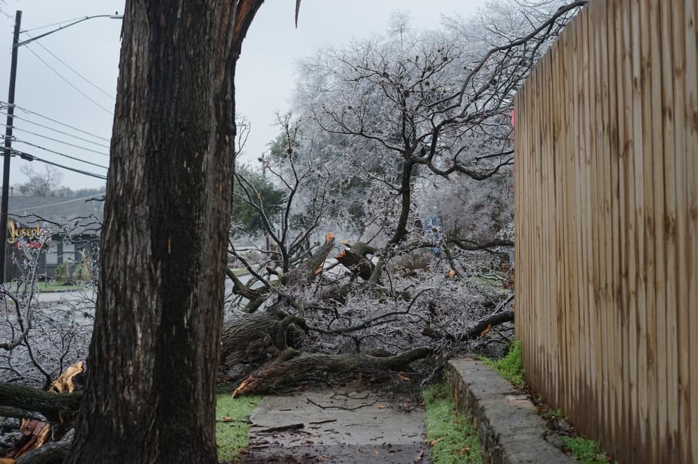 Austin Energy considers operational changes following public frustration during Winter Storm Mara