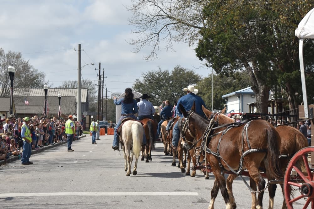 The Sam Houston Trail Riders galloped into Tomball on Feb. 20 as they made their way to the Houston Livestock Show and Rodeo. (Lizzy Spangler/Community Impact)