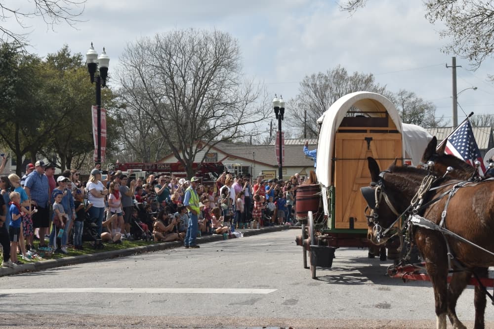 Hundreds of people awaited the riders as they galloped into the Tomball Depot Plaza. (Lizzy Spangler/Community Impact)