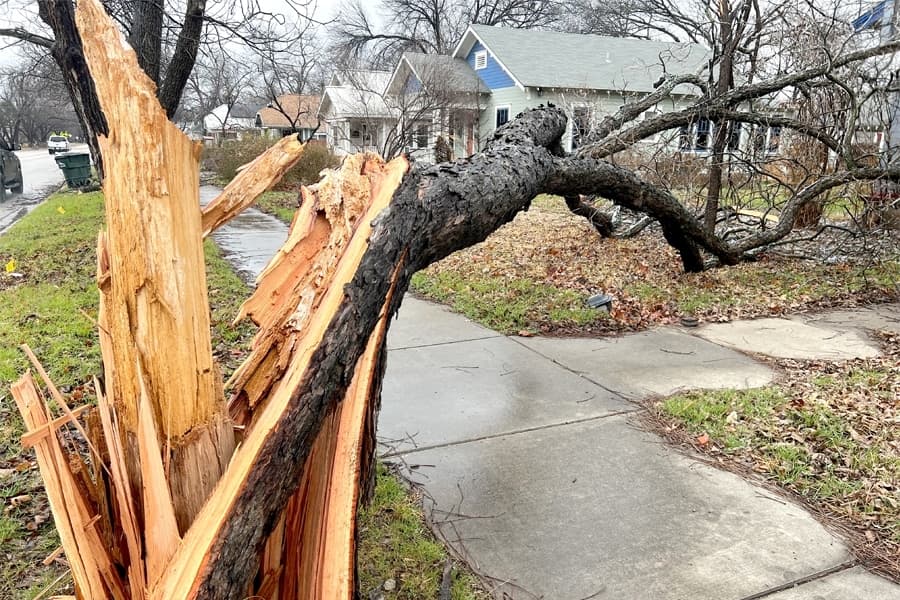 Cleanup efforts continue in Georgetown after winter storm