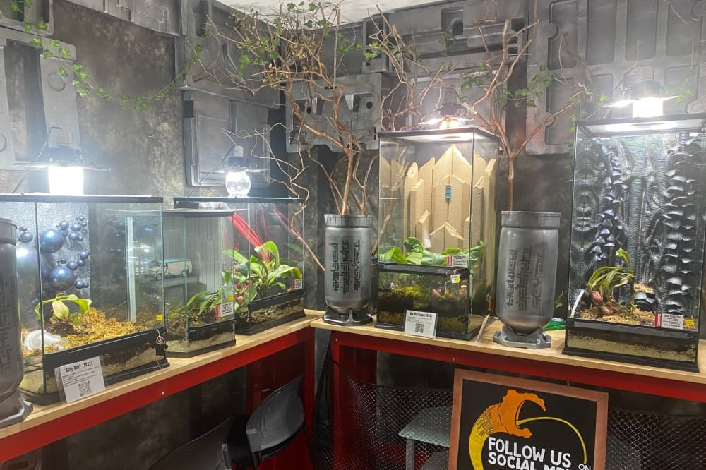 Texas Triffid Ranch closing carnivorous plant gallery in Richardson