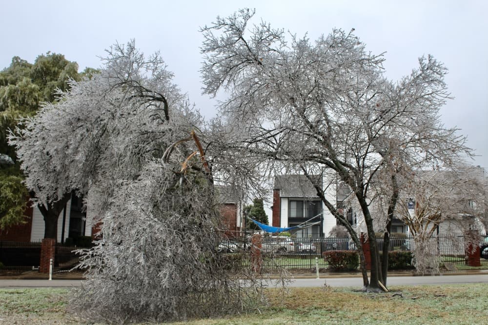 Texas requests federal disaster declaration for 23 counties following ice storm
