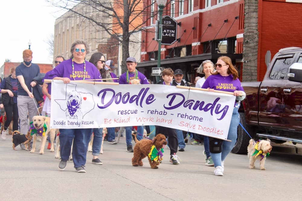 parade participants holding 'doodle dany rescue' sign