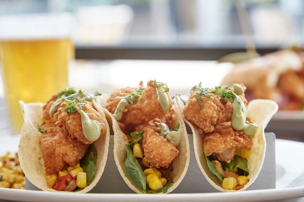 Fish City Grill