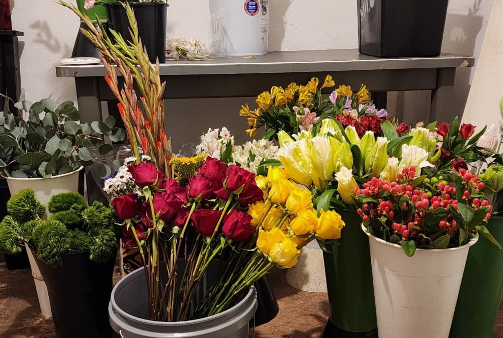 Grey House Bloom opened in January. (Jarrett Whitener/Community Impact)