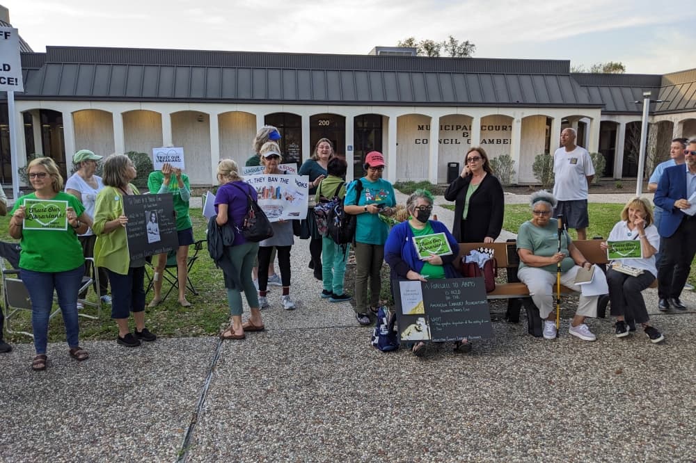 Opponents of League City book review committee plan to continue fight