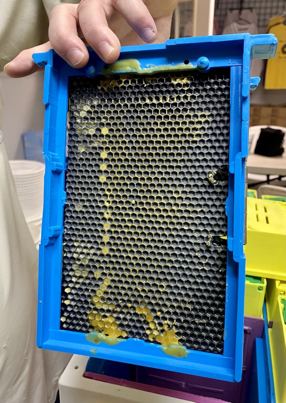 
Andy shows an example of beeswax.