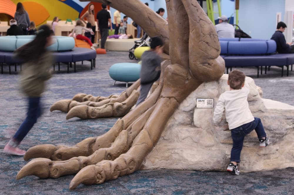 Fossilized model dinosaur footprints in the floor lead up to Rexy's spot in the center of the library. (Alex Reece/Community Impact)