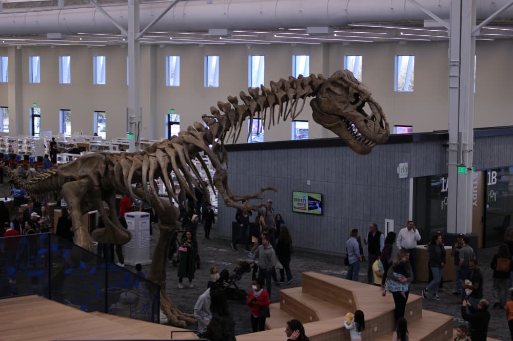 Rexy can be seen from almost any point in the library. (Alex Reece/Community Impact)