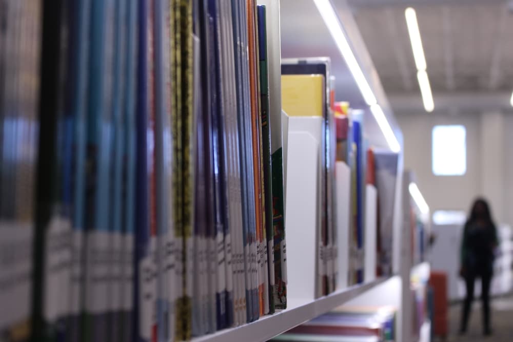 The library's two stories are filled with aisles of books. (Alex Reece/Community Impact)