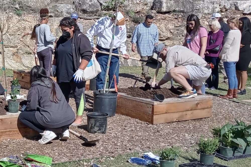 A food forest takes root at north San Antonio library