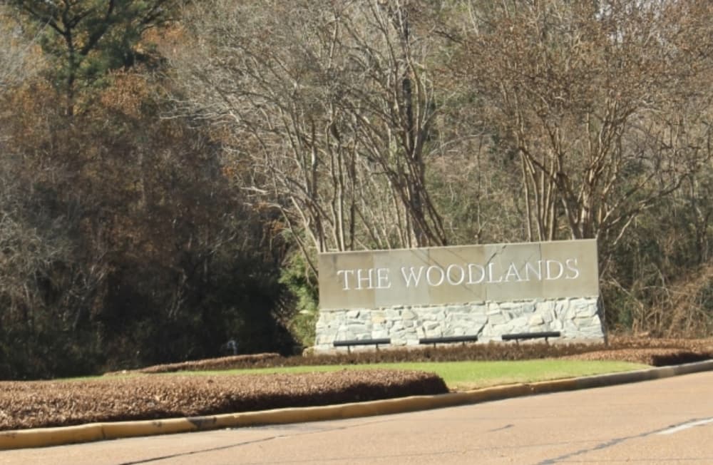 The Woodlands reinstates One Water Task Force, considers village association presidents' council