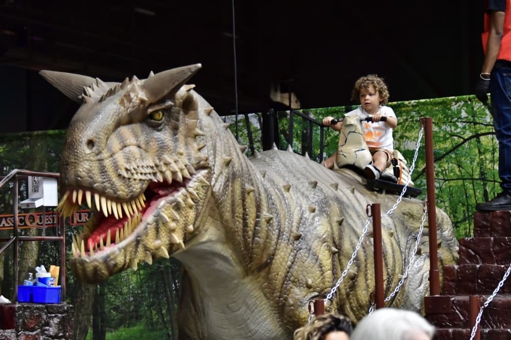 7 events in Conroe to attend this weekend March 17-19