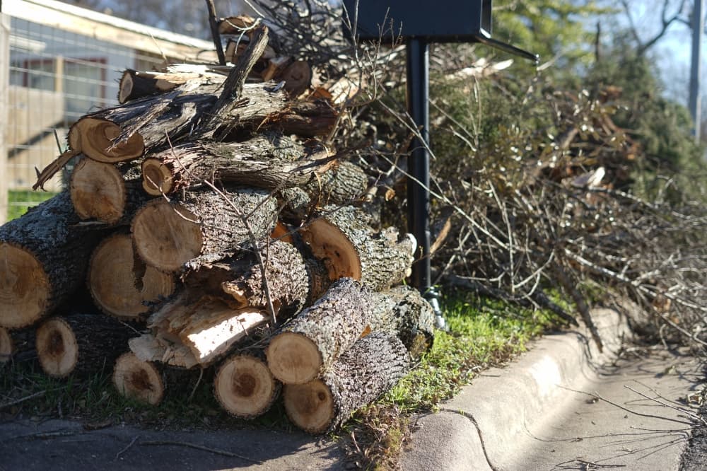 Travis County's 2 storm debris drop-off locations will close in March