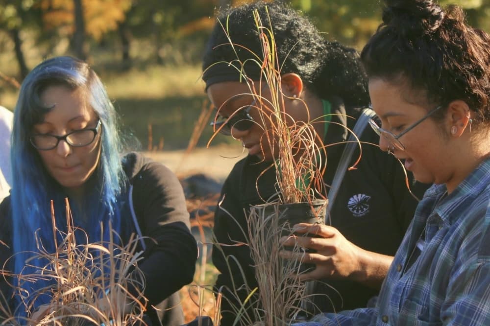 The Lewisville Lake Environmental Learning Area has diverse wildlife and plant life on site.