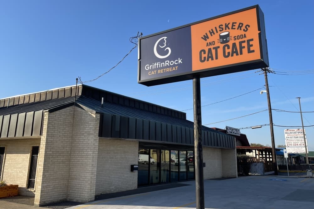 Lake Highlands couple opening cat cafe, boarding facility in East Dallas