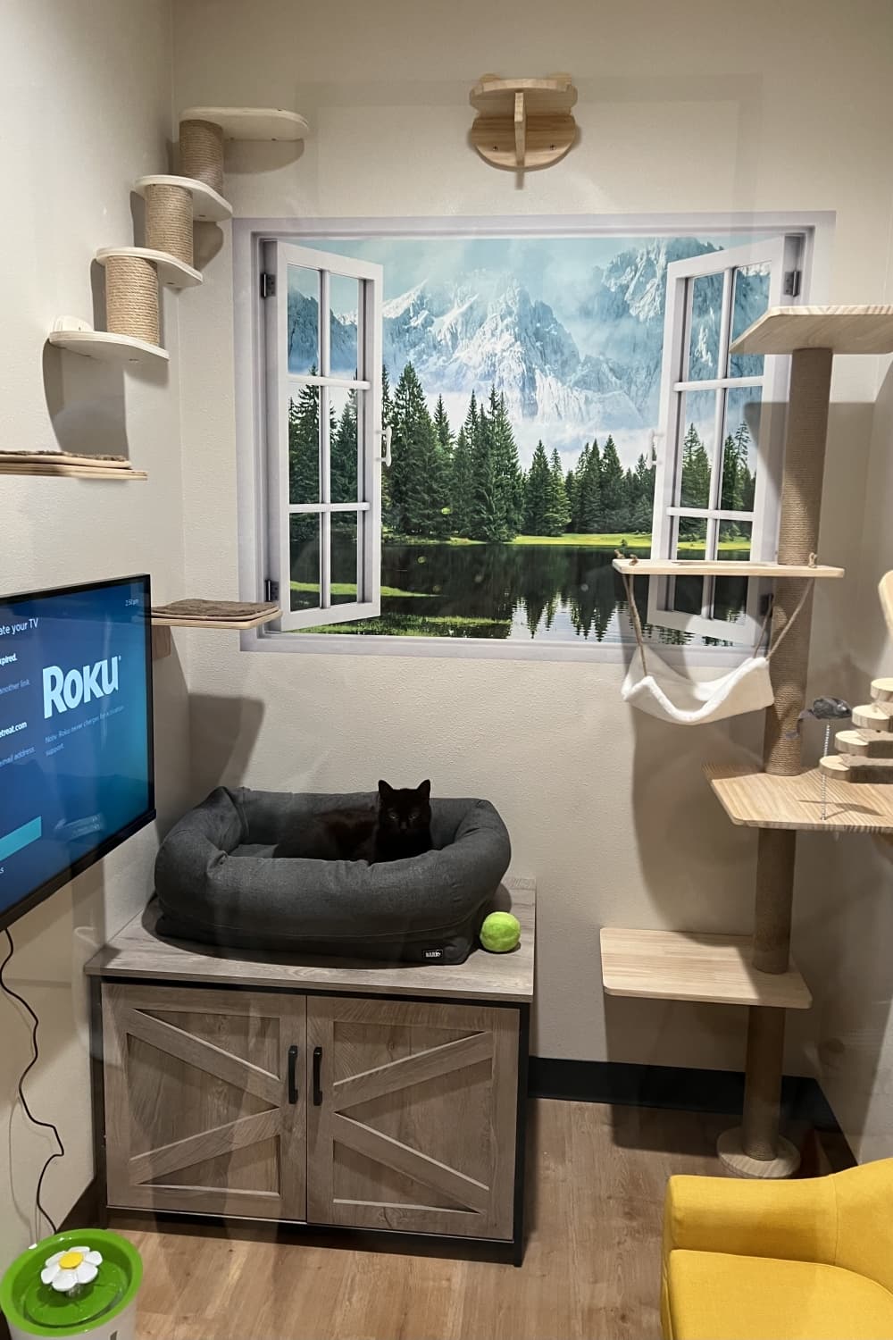 A black cat inside one of Griffin Rock Cat Retreat's boarding rooms. 