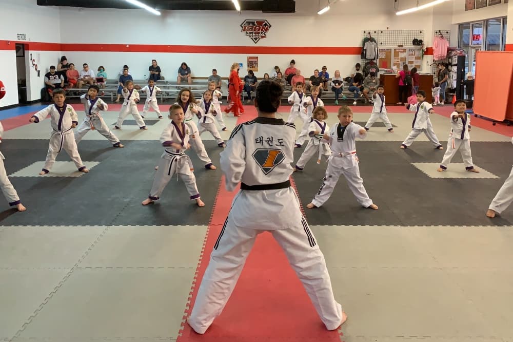 Tomball’s ICON Martial Arts Academy celebrating 35th anniversary