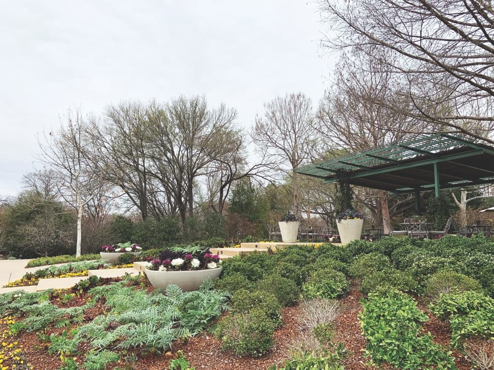 Dallas Blooms is one of the arboretum’s first and largest events of the year. (Cecil Lenzen/Community Impact)