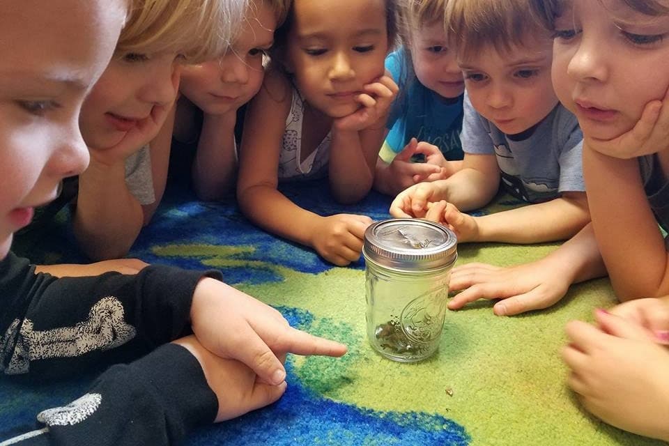 New preschool opens in the Bee Creek, Rough Hollow area